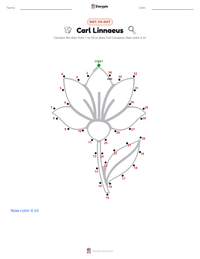 Carl Linnaeus printable worksheet preview