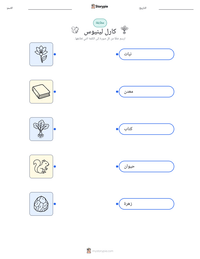 معاينة ورقة العمل القابلة للطباعة كارل لينيوس