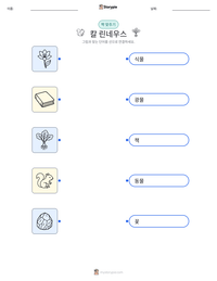 칼 린네우스 인쇄 가능한 워크시트 미리보기