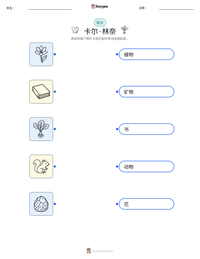 卡尔·林奈 可打印工作表预览