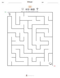 卡尔·林奈 可打印工作表预览