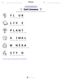 Aperçu de la feuille de travail imprimable Carl Linnaeus