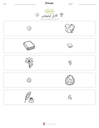 معاينة ورقة العمل القابلة للطباعة كارل لينيوس