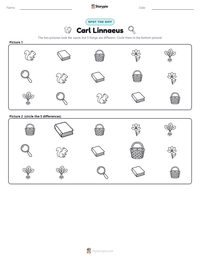 Carl Linnaeus printable worksheet preview