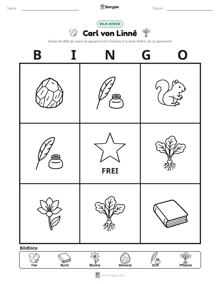 Bild-Bingo