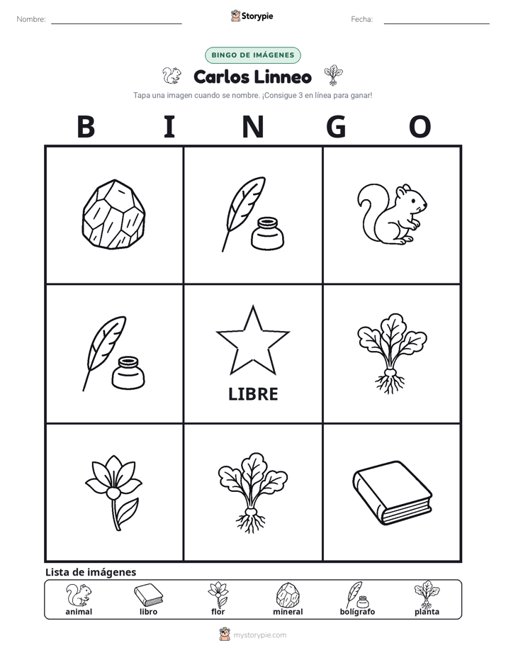 Bingo de Imágenes