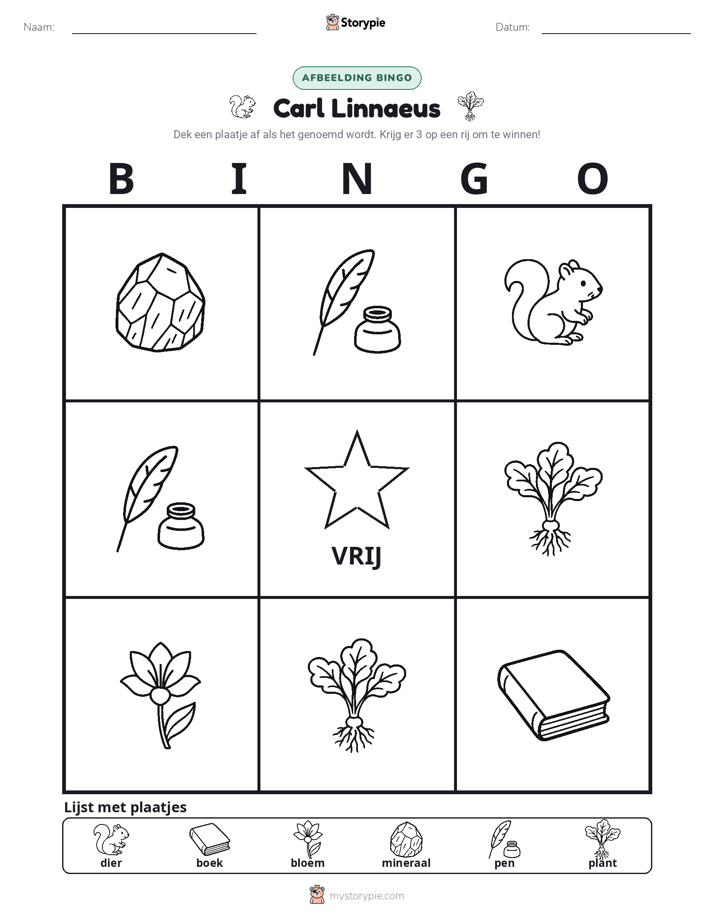 Afbeelding Bingo