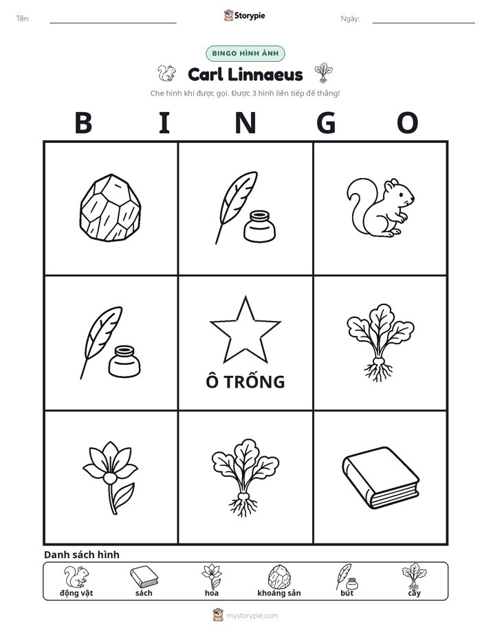 Bingo Hình Ảnh