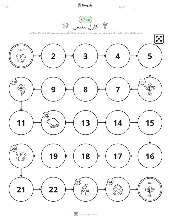 رول اور منتقل کریں کھیل