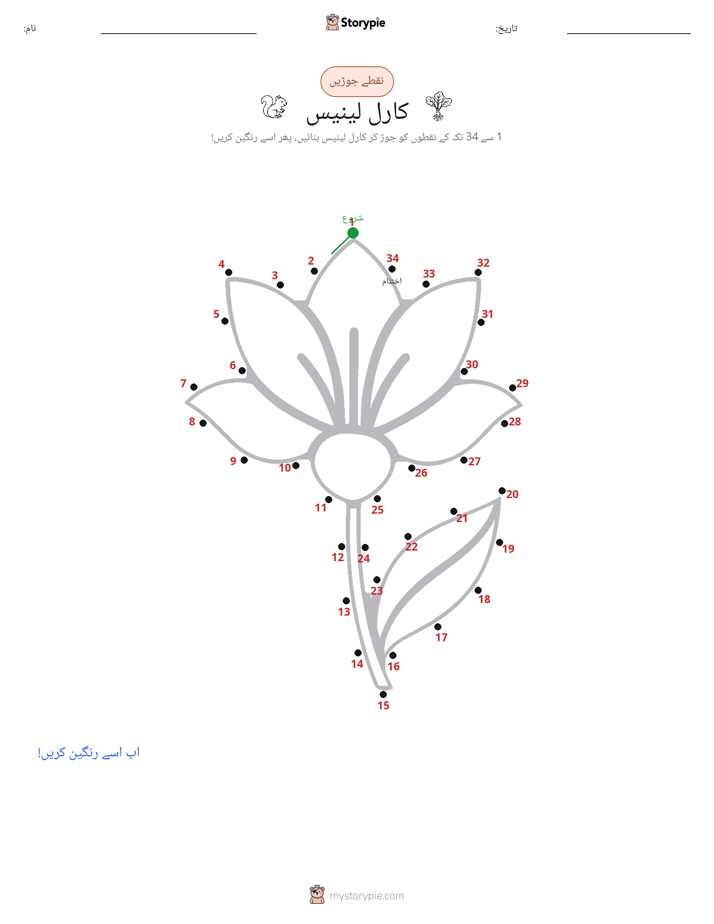 نقطے سے نقطے تک
