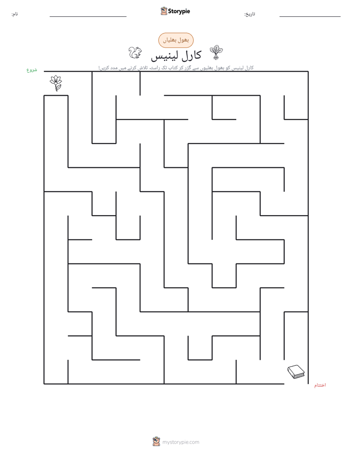 بھول بھلیاں