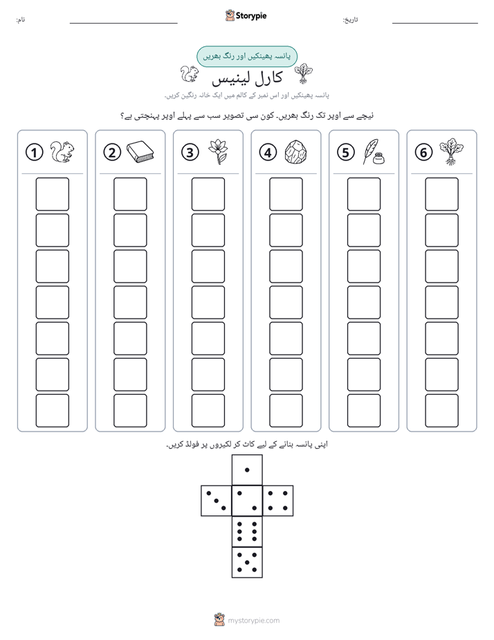 رول اور رنگ