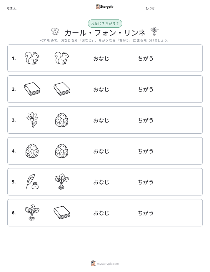 同じか違うか