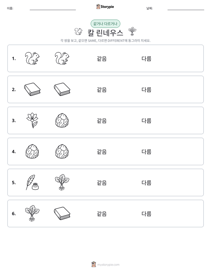 같은 것 또는 다른 것