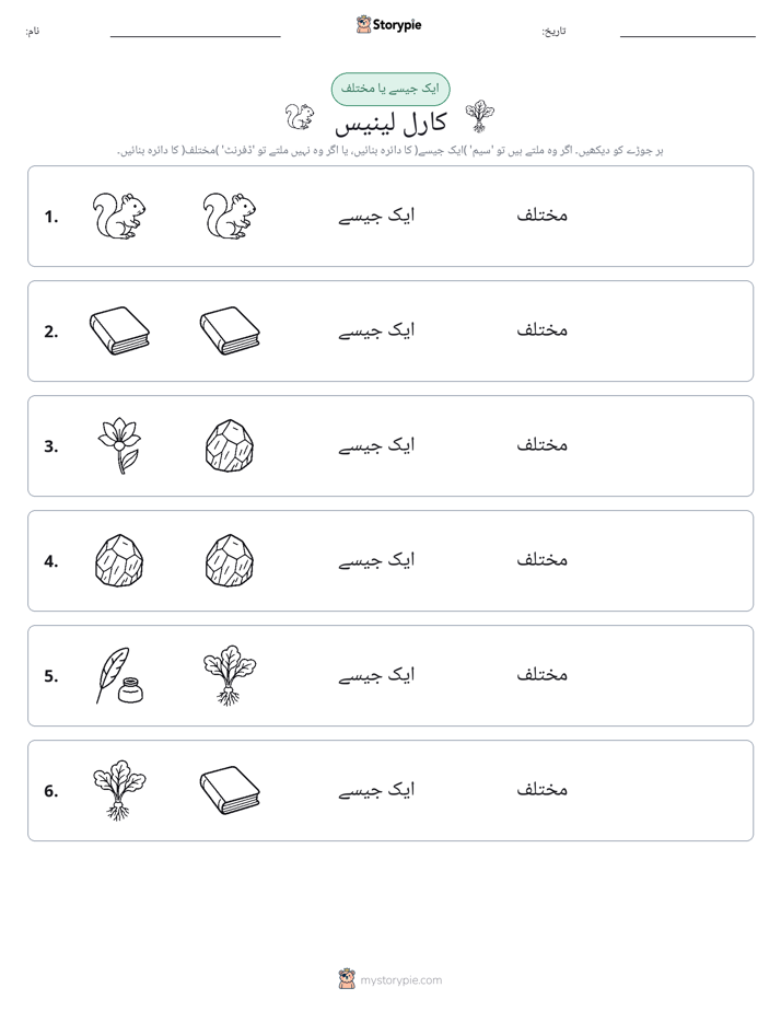 ایک جیسا یا مختلف