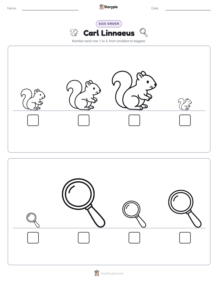 Size Order