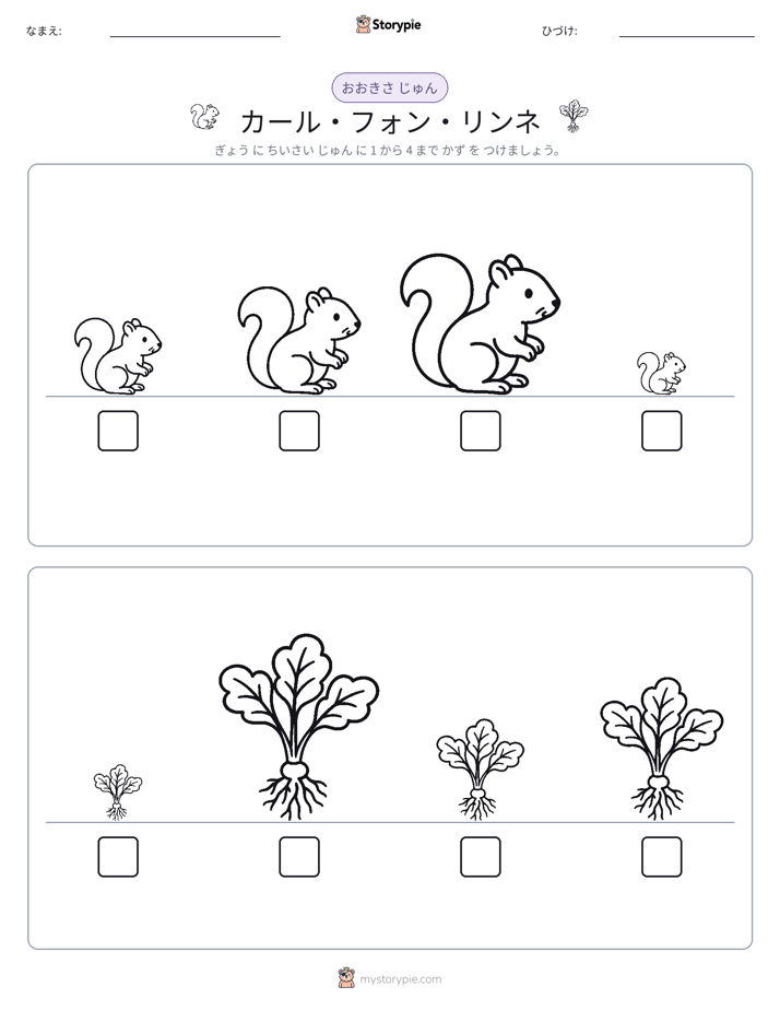 サイズ順