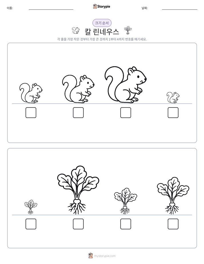 크기 순서