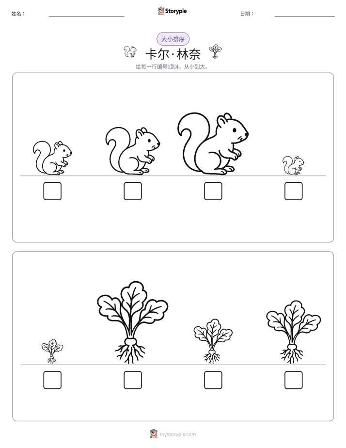 大小排序