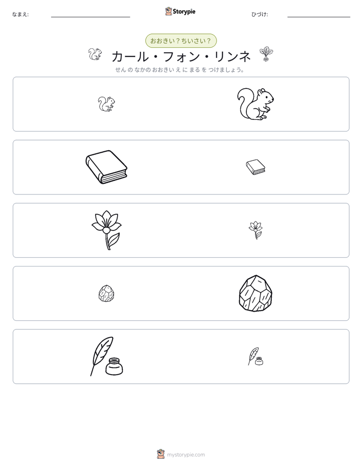 ソーティング