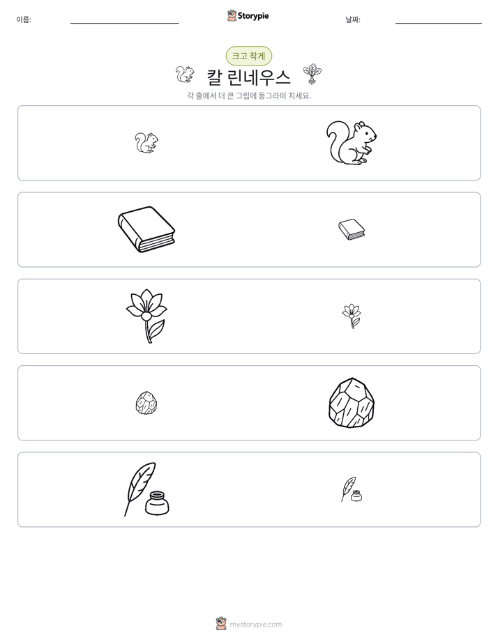 정렬