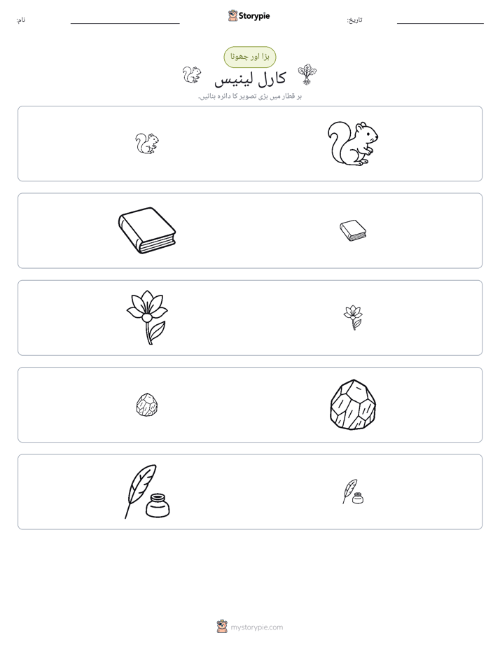 ترتیب دینا