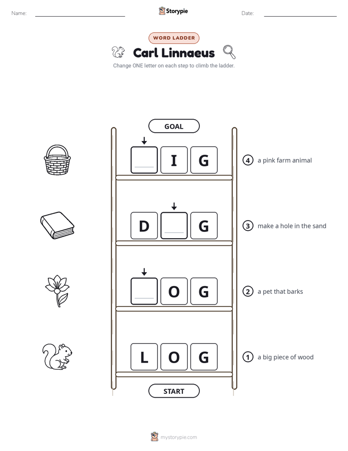 Word Ladder