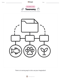Taxonomy coloring page for kids