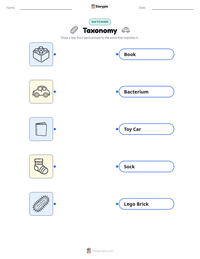 Taxonomy printable worksheet for kids