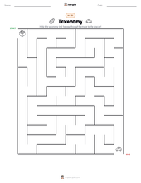 Taxonomy printable worksheet preview