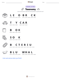 Taxonomy printable worksheet preview