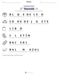 Vista previa de la hoja de trabajo imprimible de Taxonomía