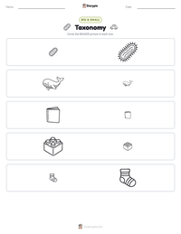 Taxonomy printable worksheet preview