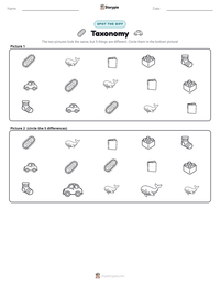 Taxonomy printable worksheet preview