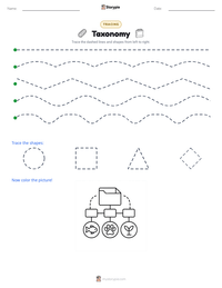 Taxonomy printable worksheet preview
