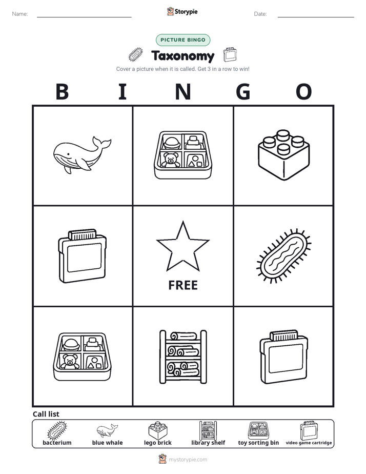 Picture Bingo