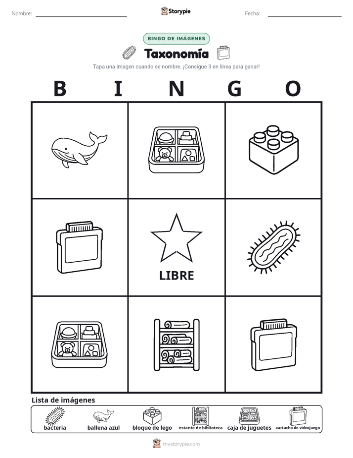 Bingo de Imágenes