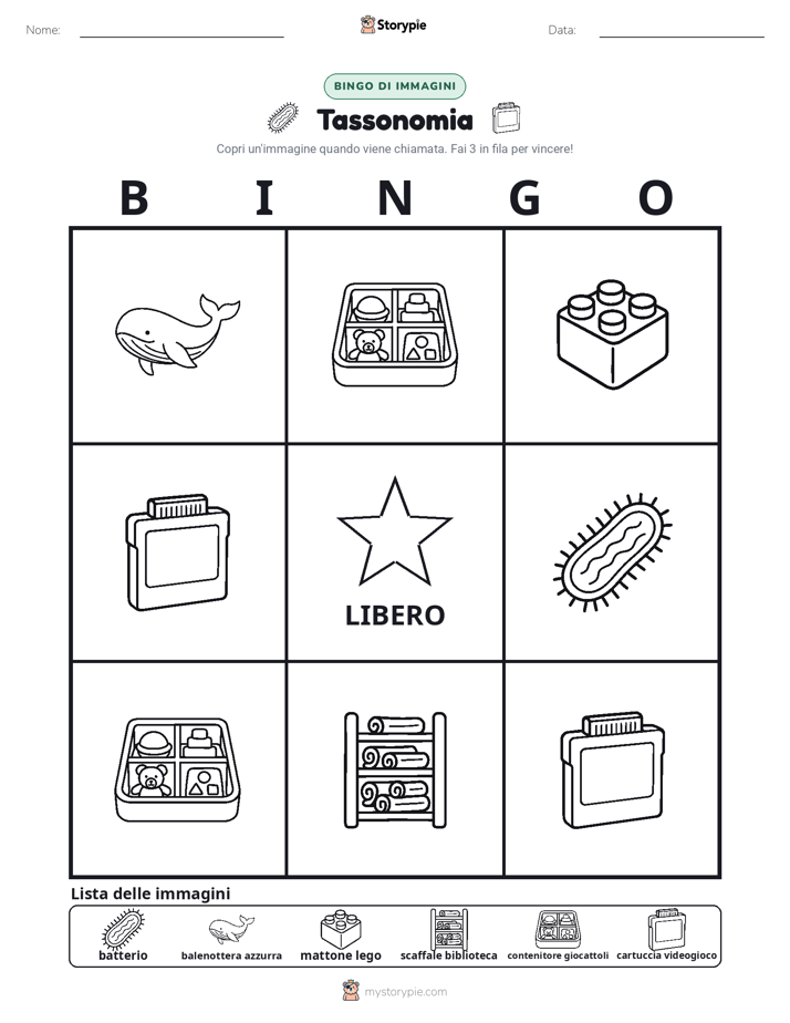 Bingo delle Immagini