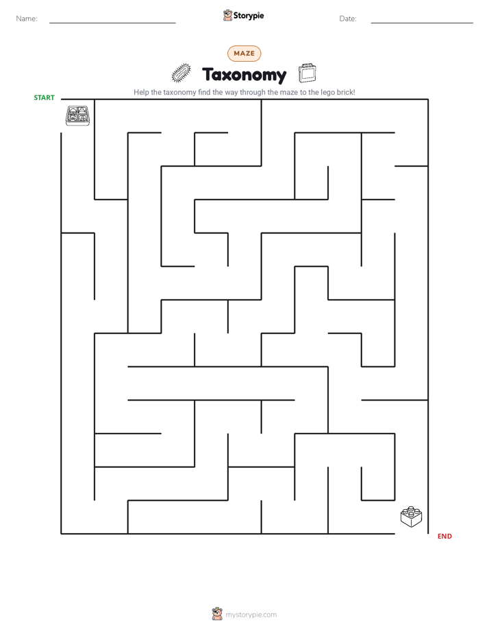 Maze