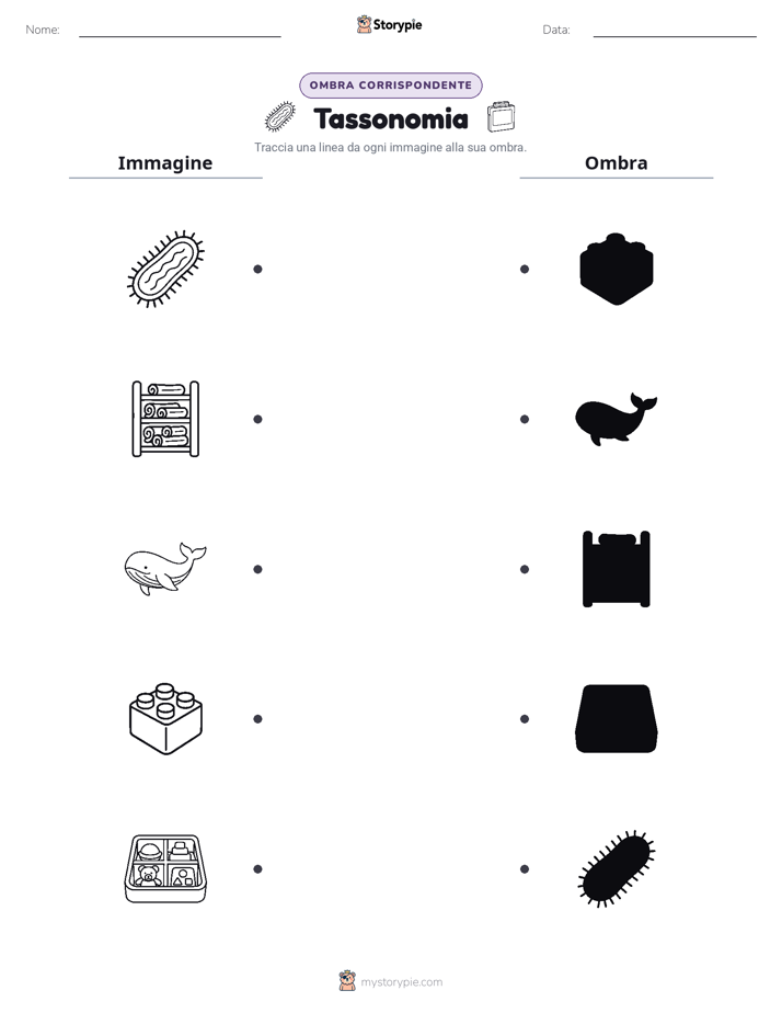Corrispondenza Ombra