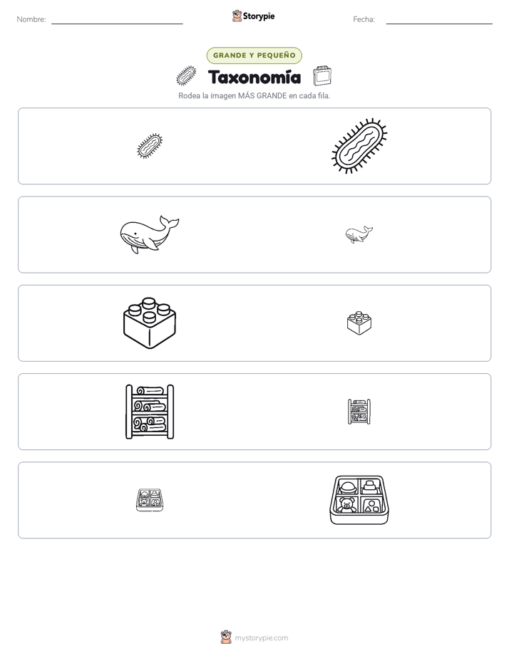 Clasificación