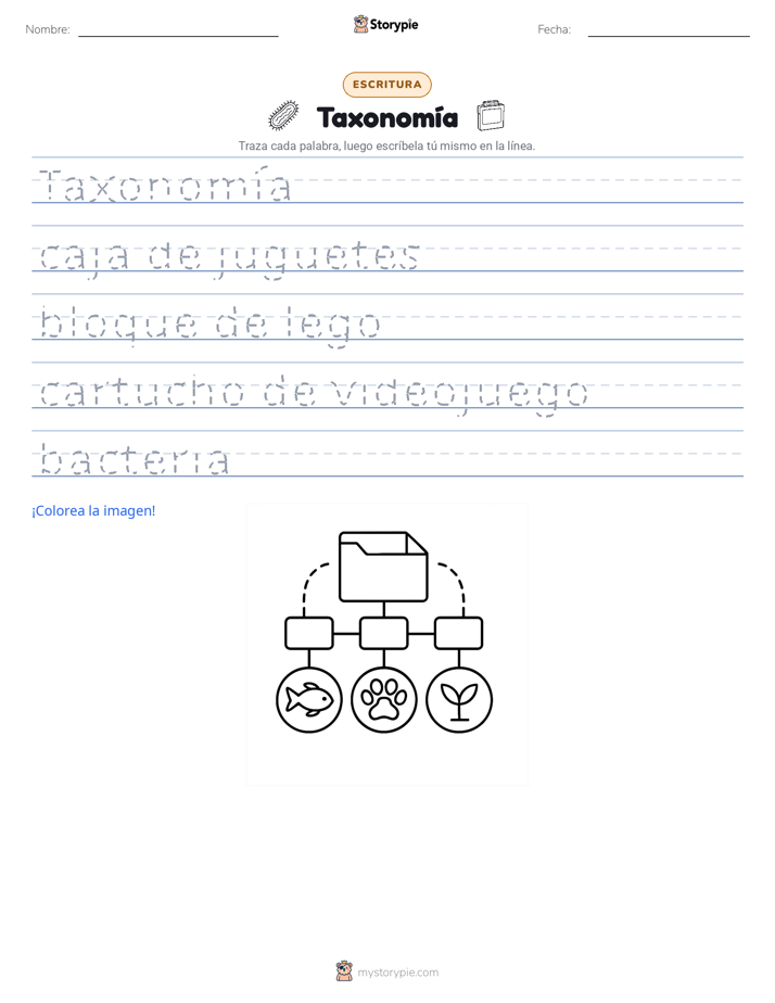 Práctica de Escritura