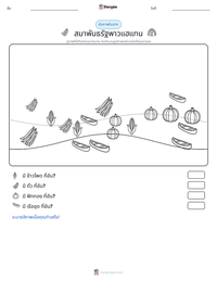 สมาพันธรัฐพาวแฮแทน ตัวอย่างแบบฝึกหัดที่พิมพ์ได้