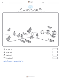 پوہاتان کنفیڈریسی پرنٹ کرنے کے قابل ورکشیٹ کا پیش نظارہ