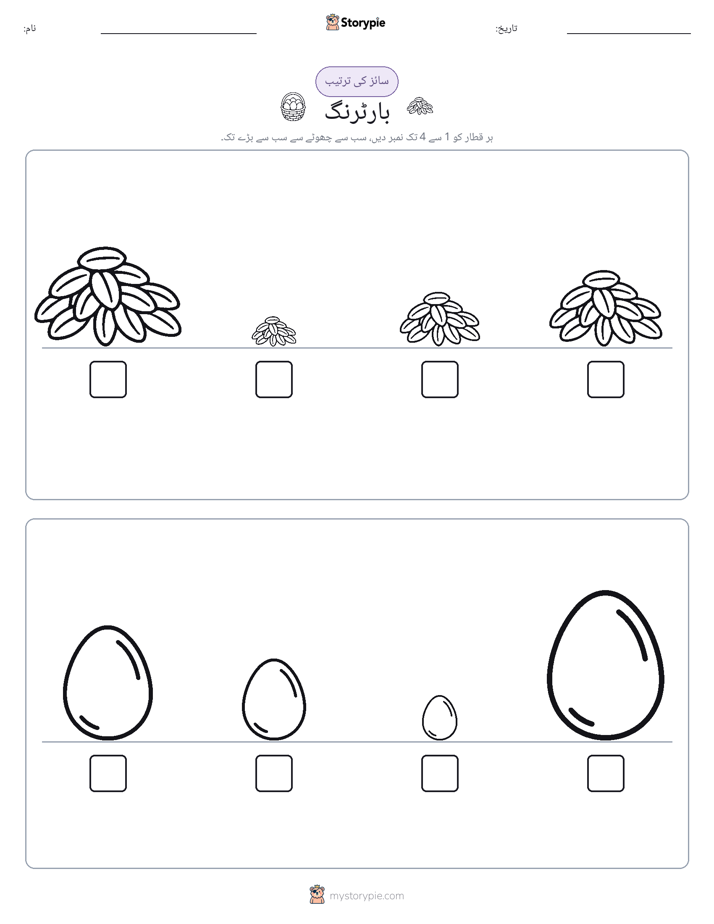 سائز کی ترتیب
