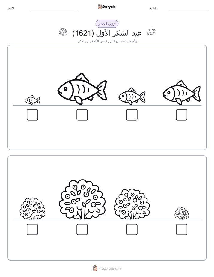 ترتيب الحجم