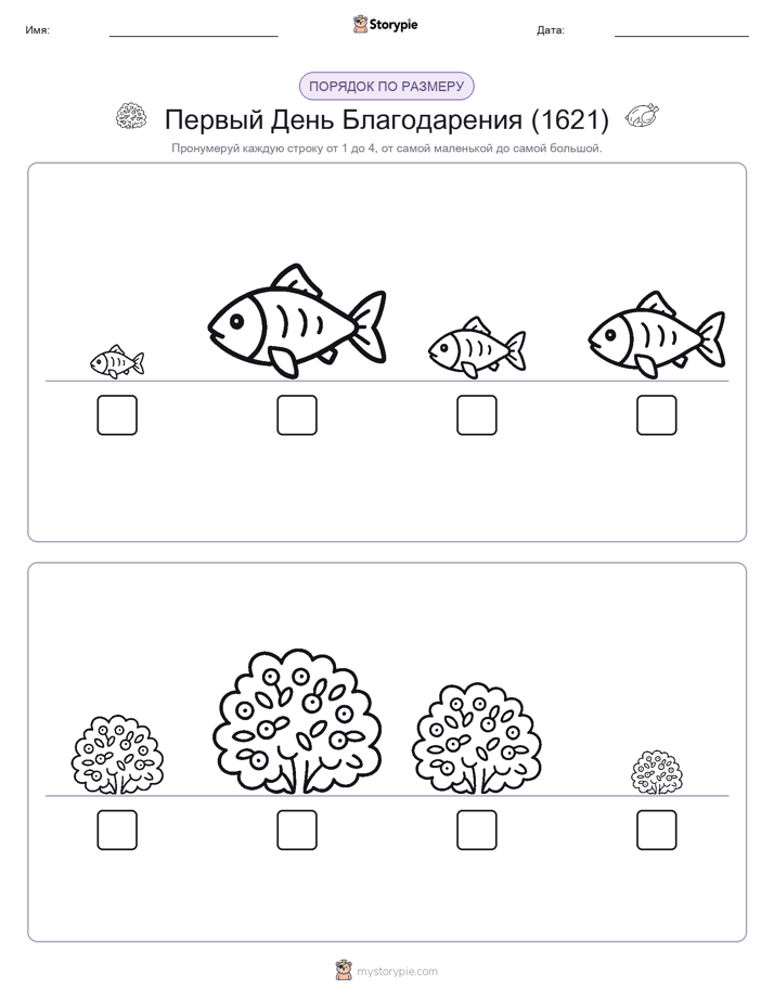 Размеры в порядке