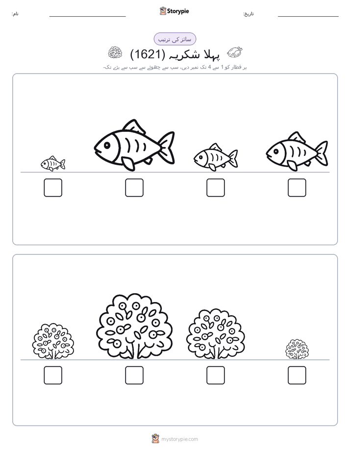 سائز کی ترتیب