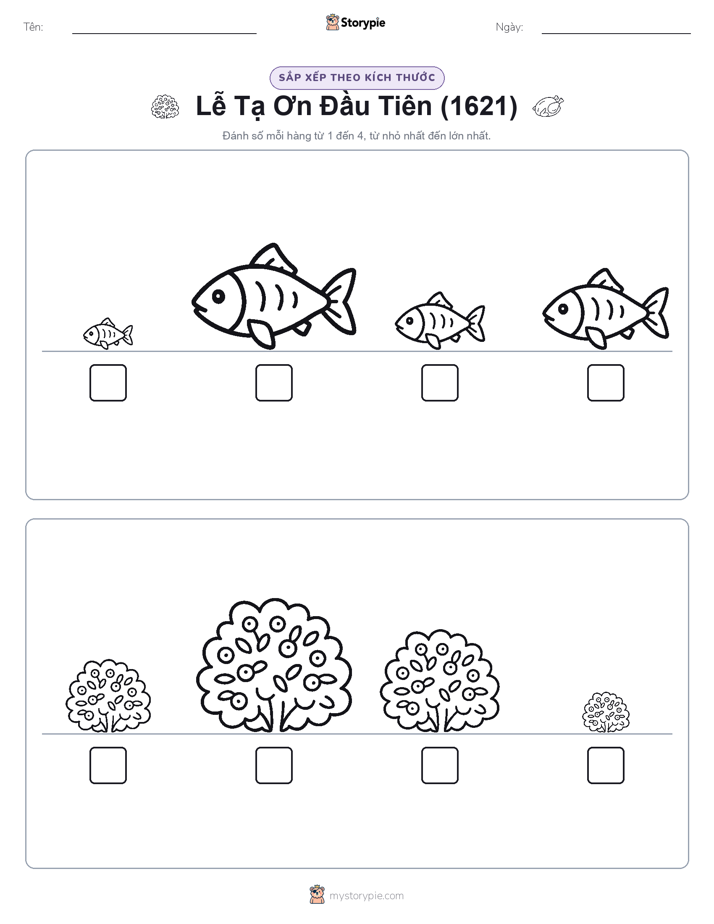 Thứ Tự Kích Thước