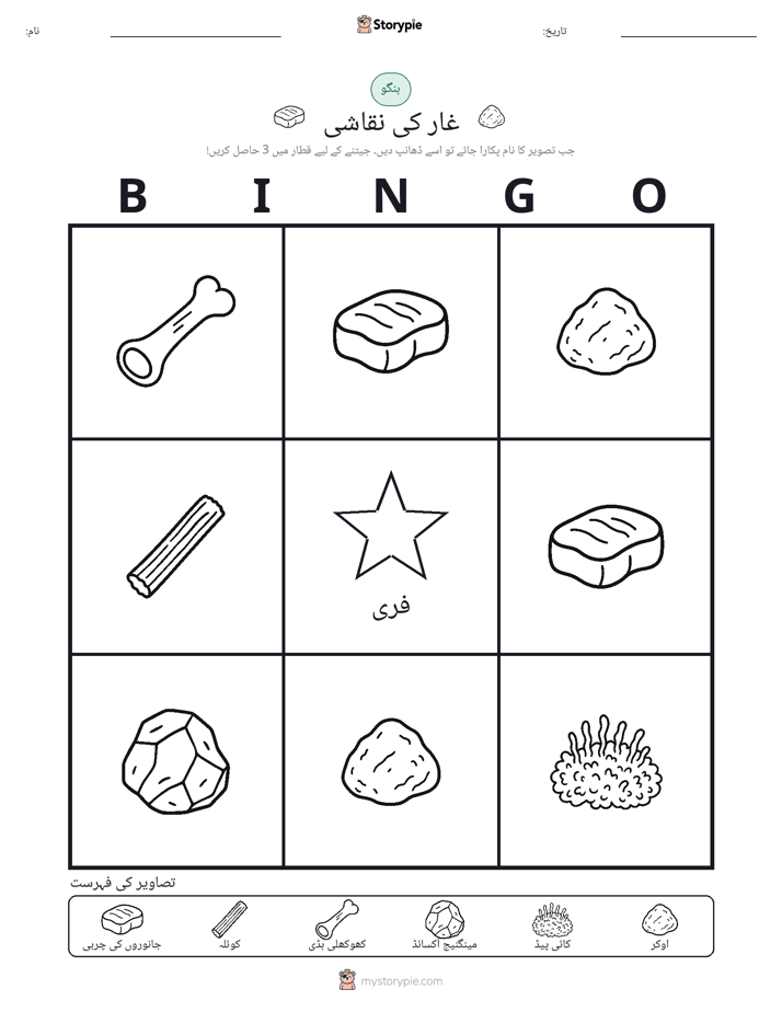 تصویری بنگو